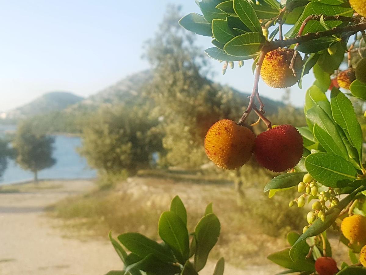 Eden Lady Mobile Home, Croatia, Drage Esterno foto