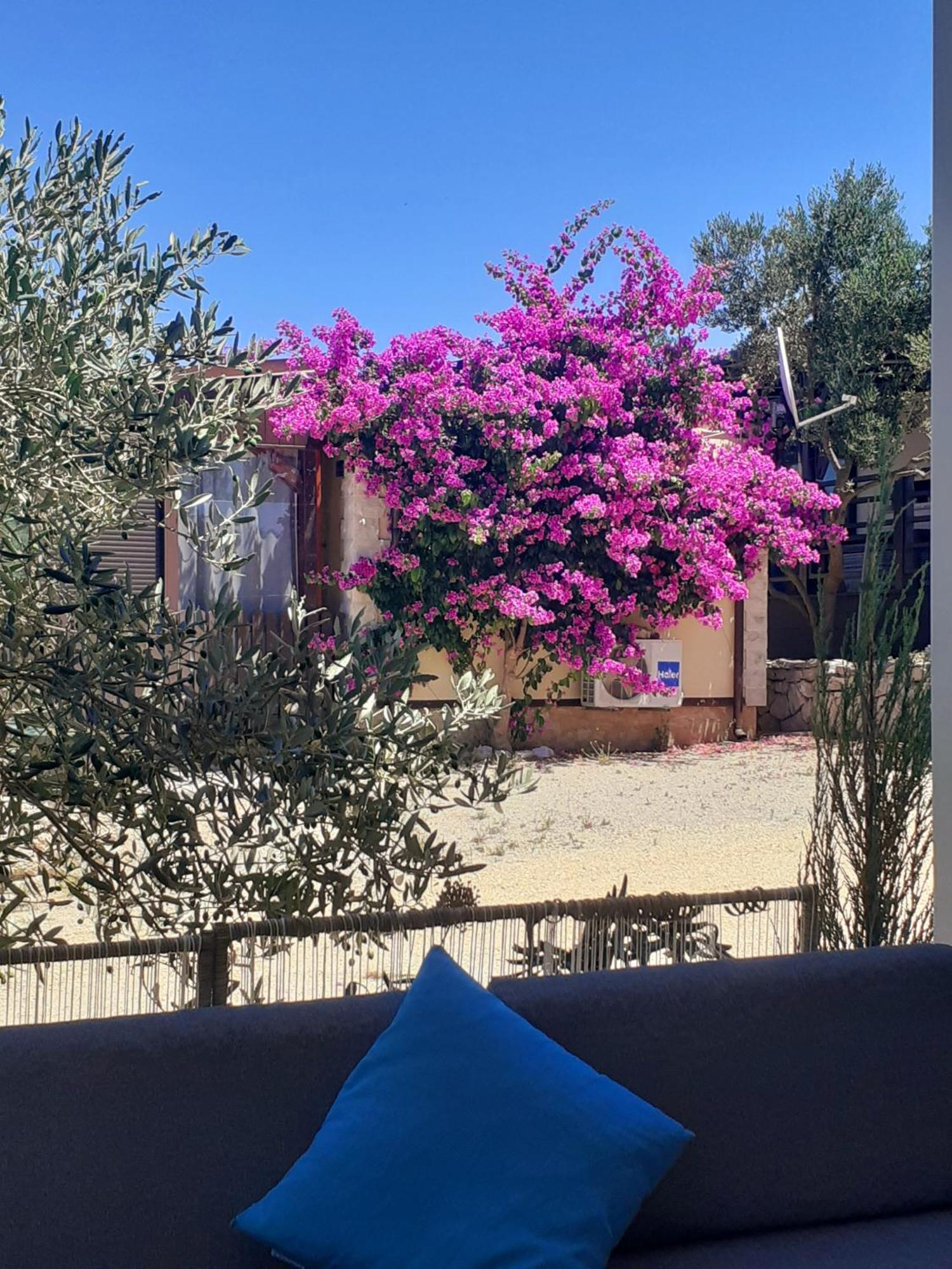 Eden Lady Mobile Home, Croatia, Drage Esterno foto